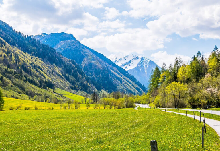 Pinzgau-Bruckerberg