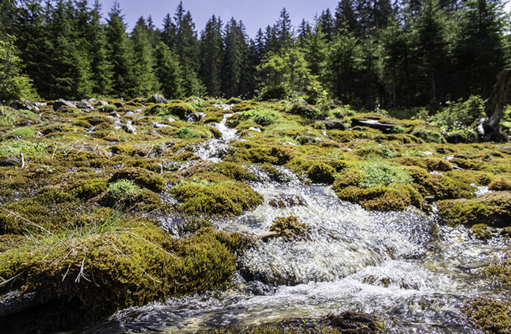 Seidenwinkler-Ache-vizeses-Seidlwinkltal-kortura