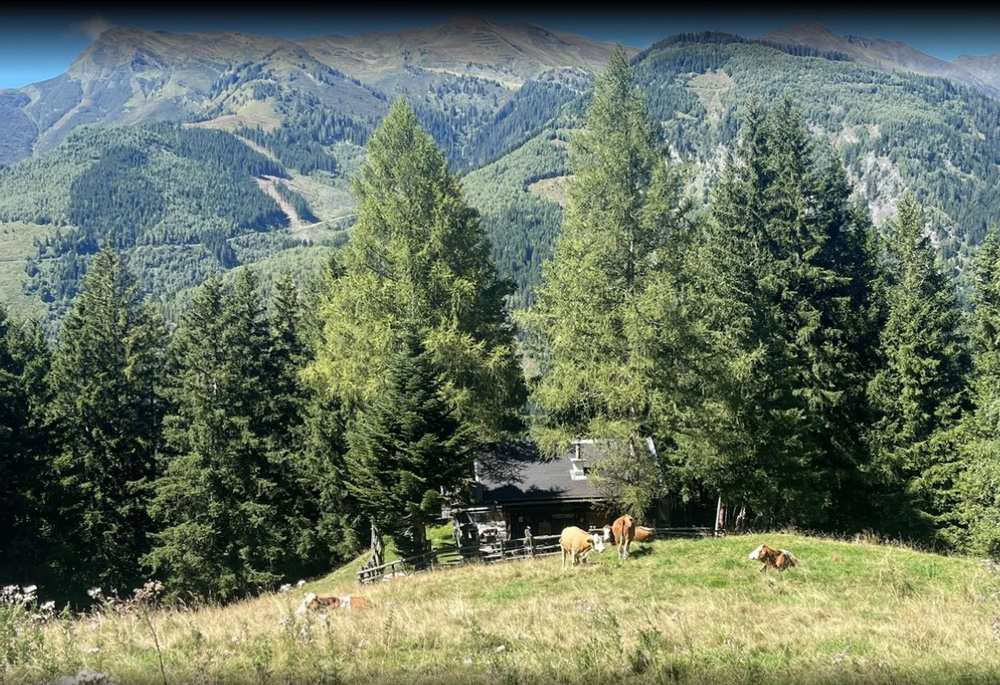 Raurisból Vorstanddorfba