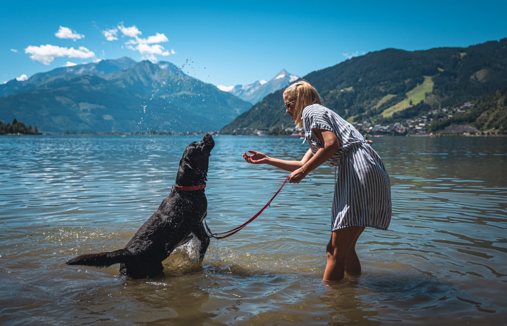 Furdes-kutyaval-hol-megengedett-SalzburgerLandban
