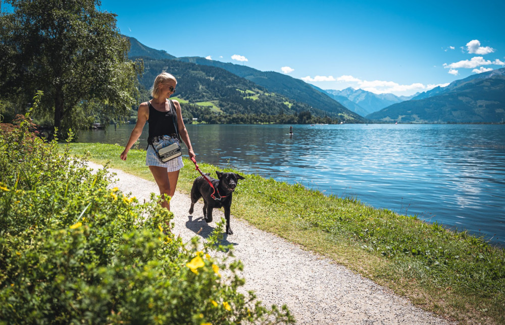 Kutyabarát programok Salzburgerlandban